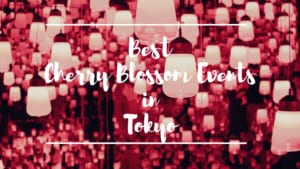 Best Cherry Blossom Events in Tokyo