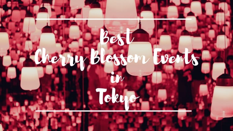 Best Cherry Blossom Events in Tokyo 2022