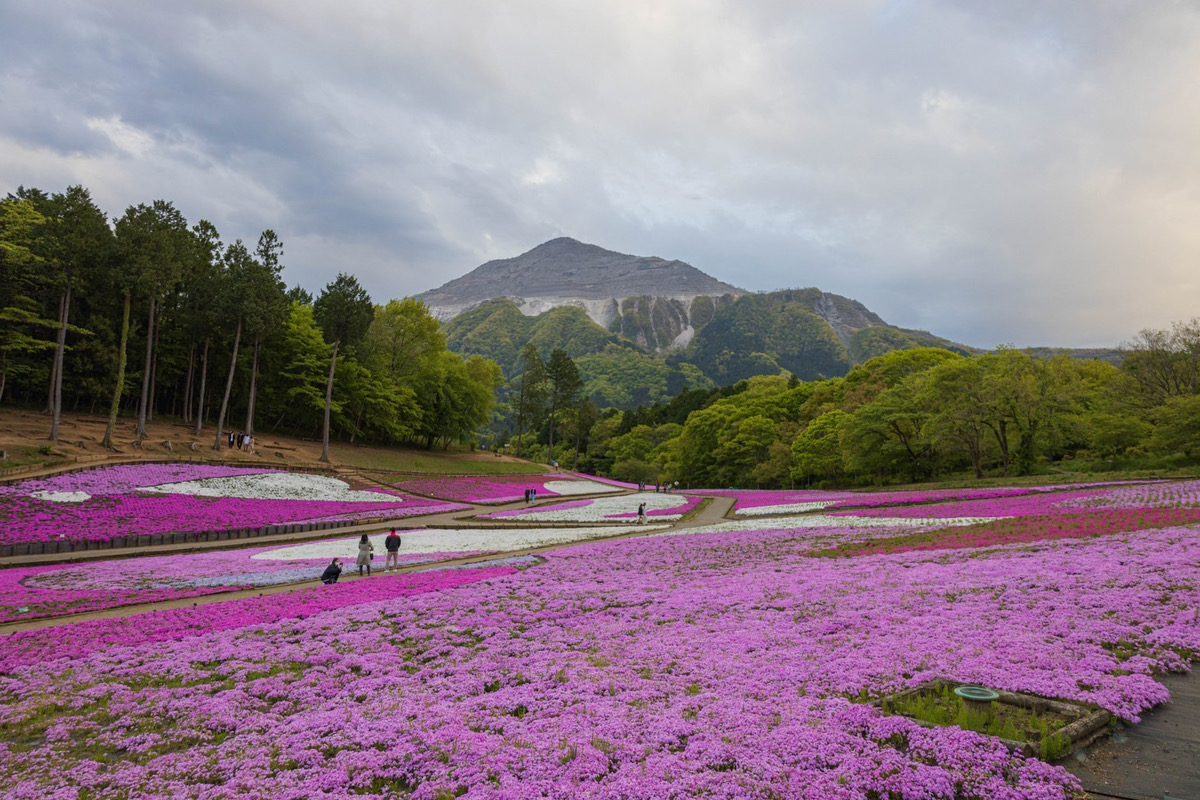 Hitsujiyama Park