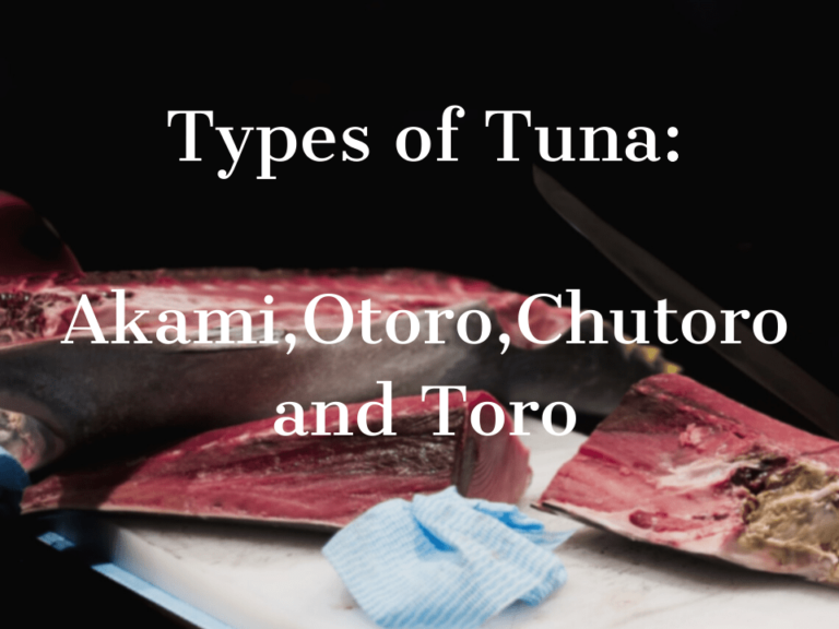 Types of Tuna: Akami, Otoro, Chutoro, and Toro