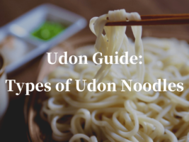 Udon Guide: Types of Udon Noodles