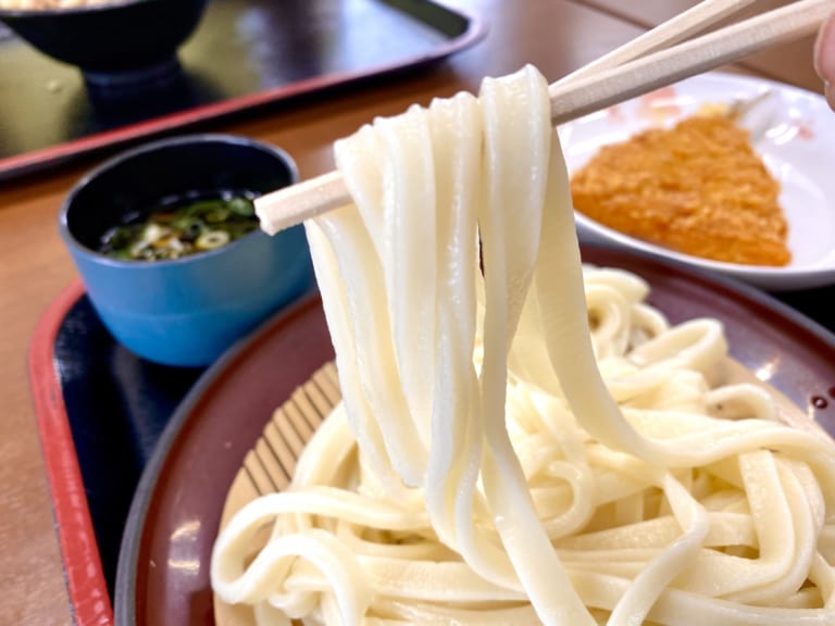 Udon Guide Types of Udon Noodles Japan  Magazine