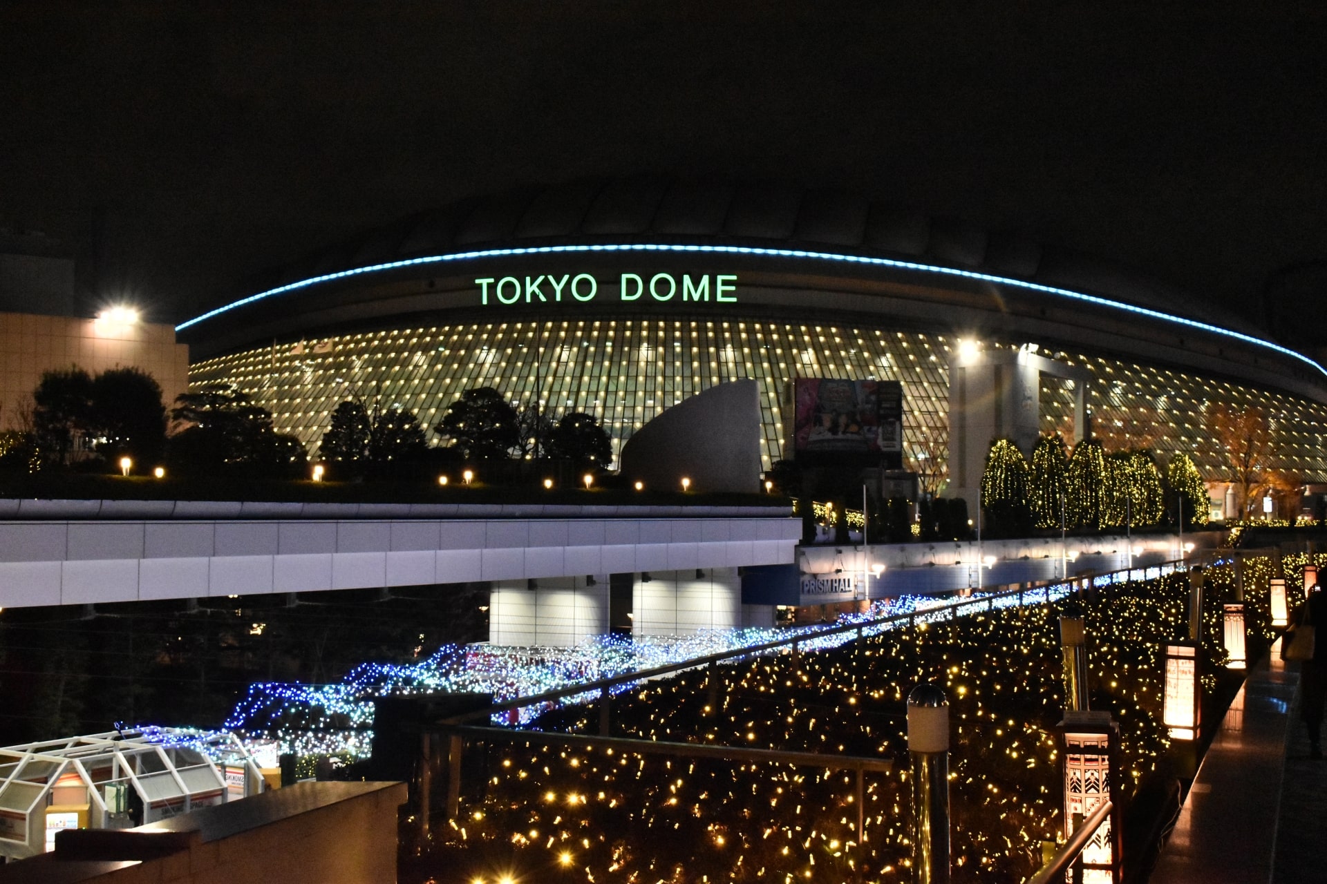 tokyo dome city night view