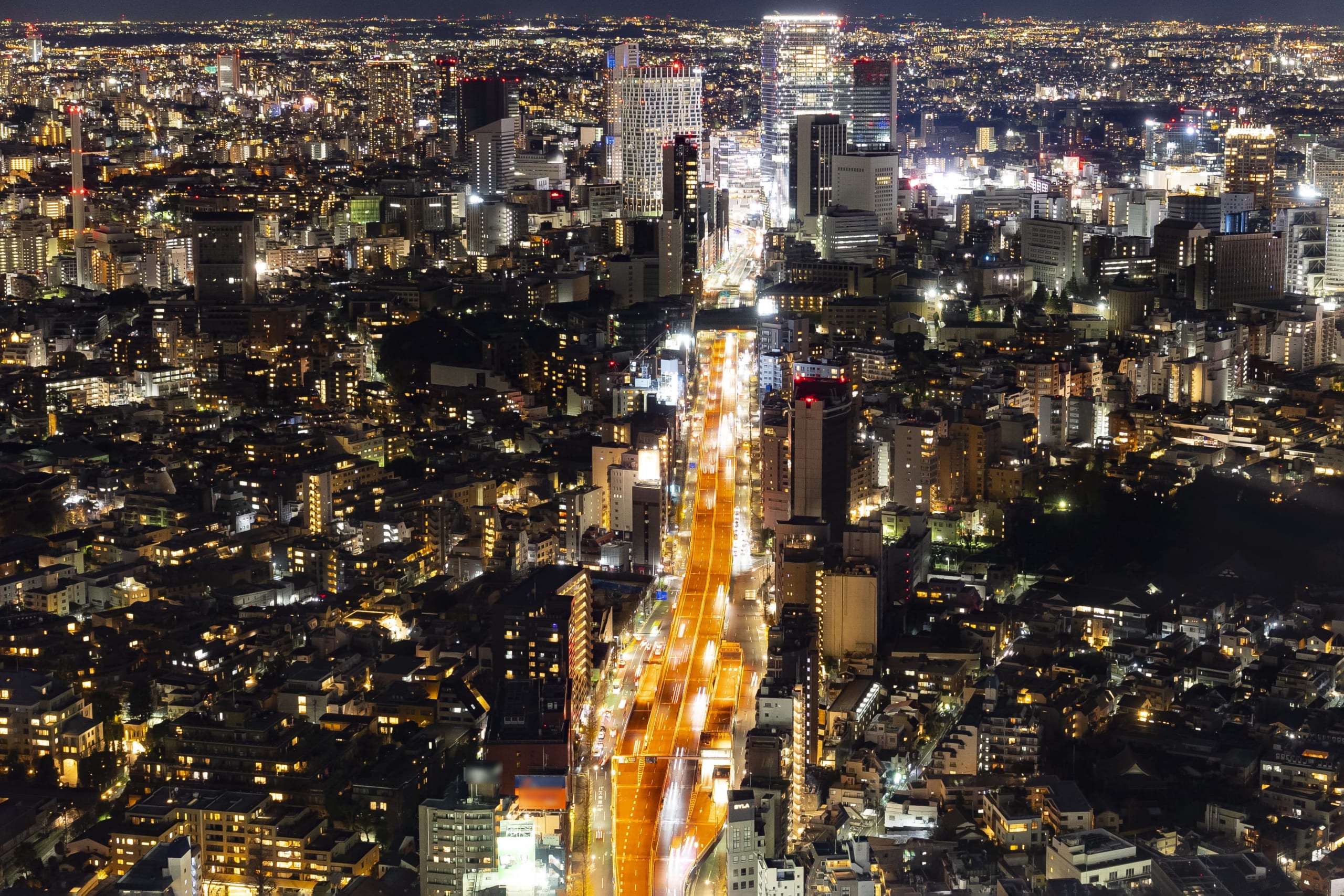 Tokyo city night view