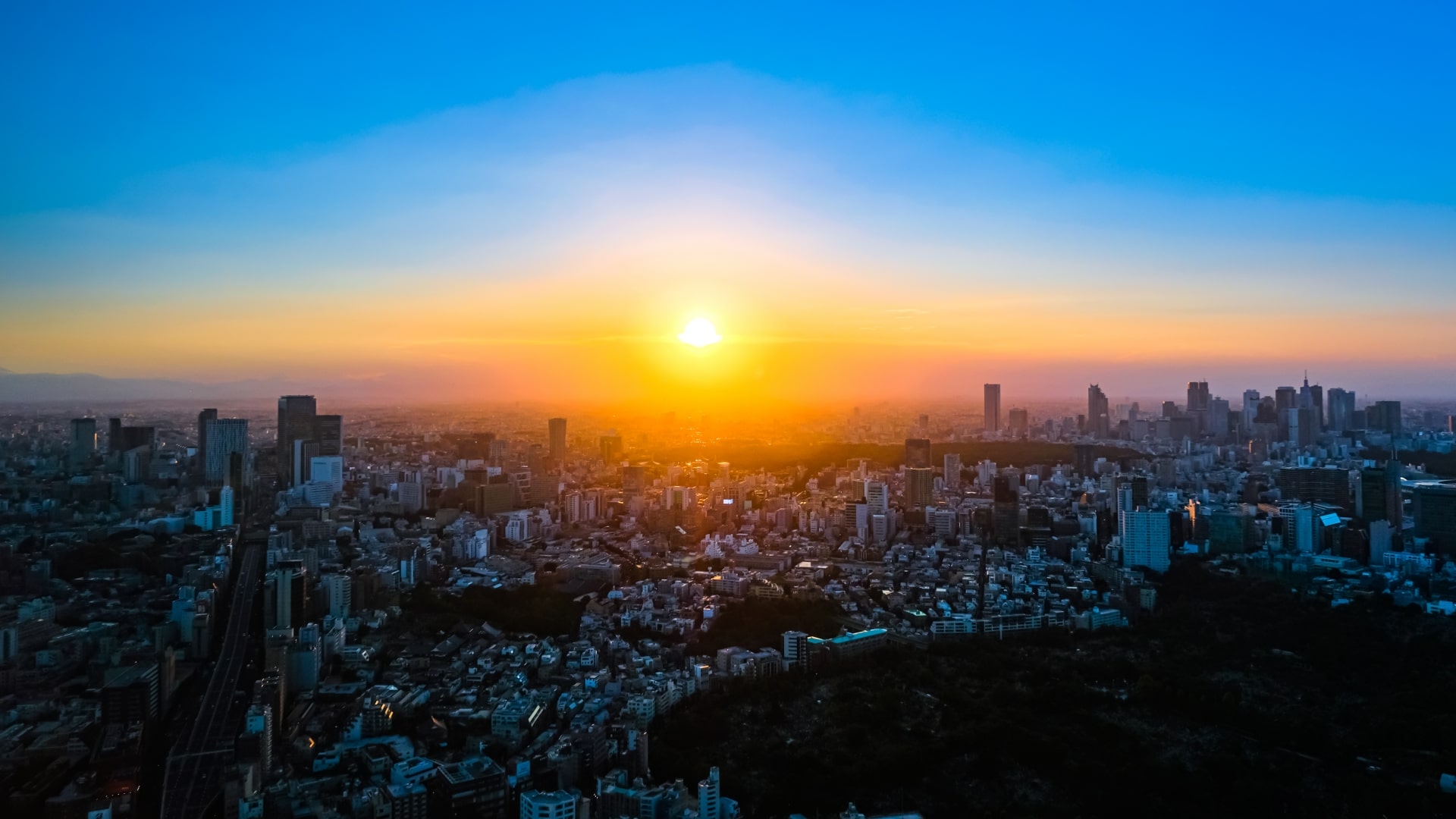 view from roppongi hills