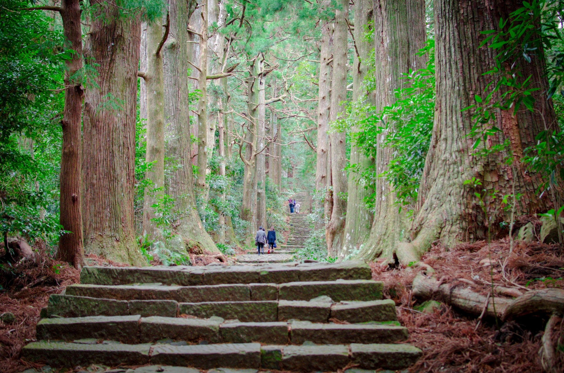 Kumano Kodo