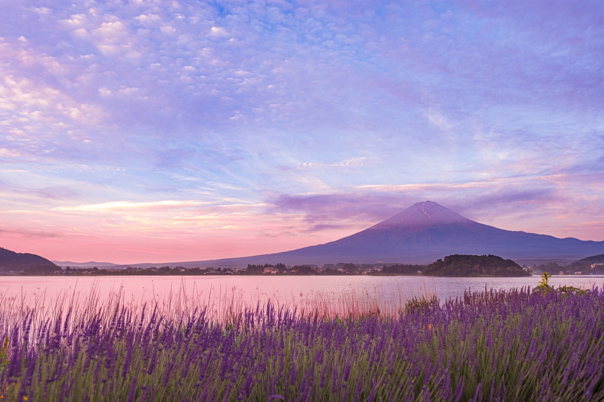 Mt Fuji