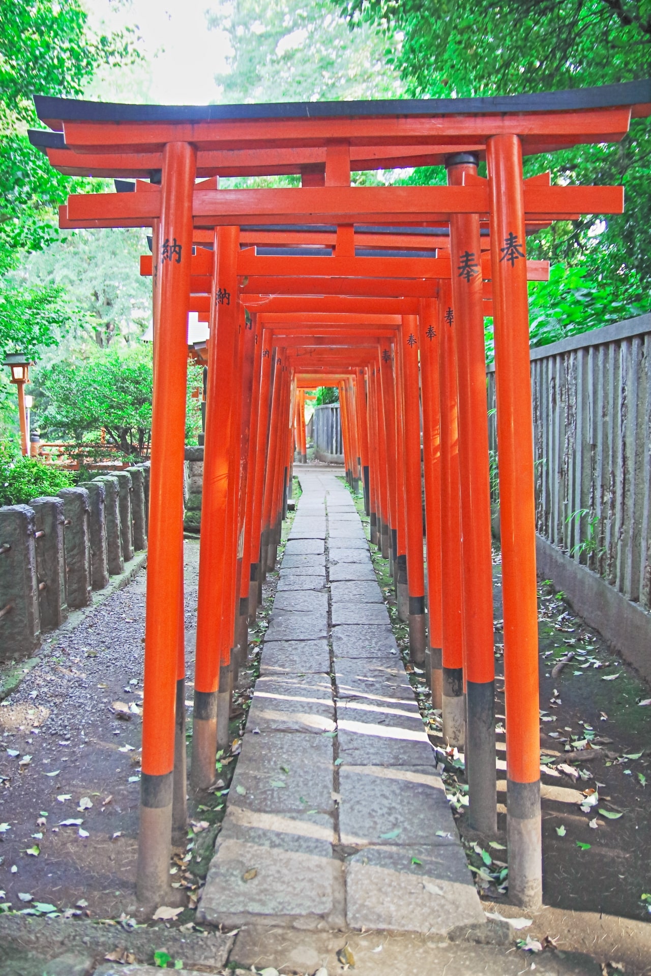 Nezu Shrine