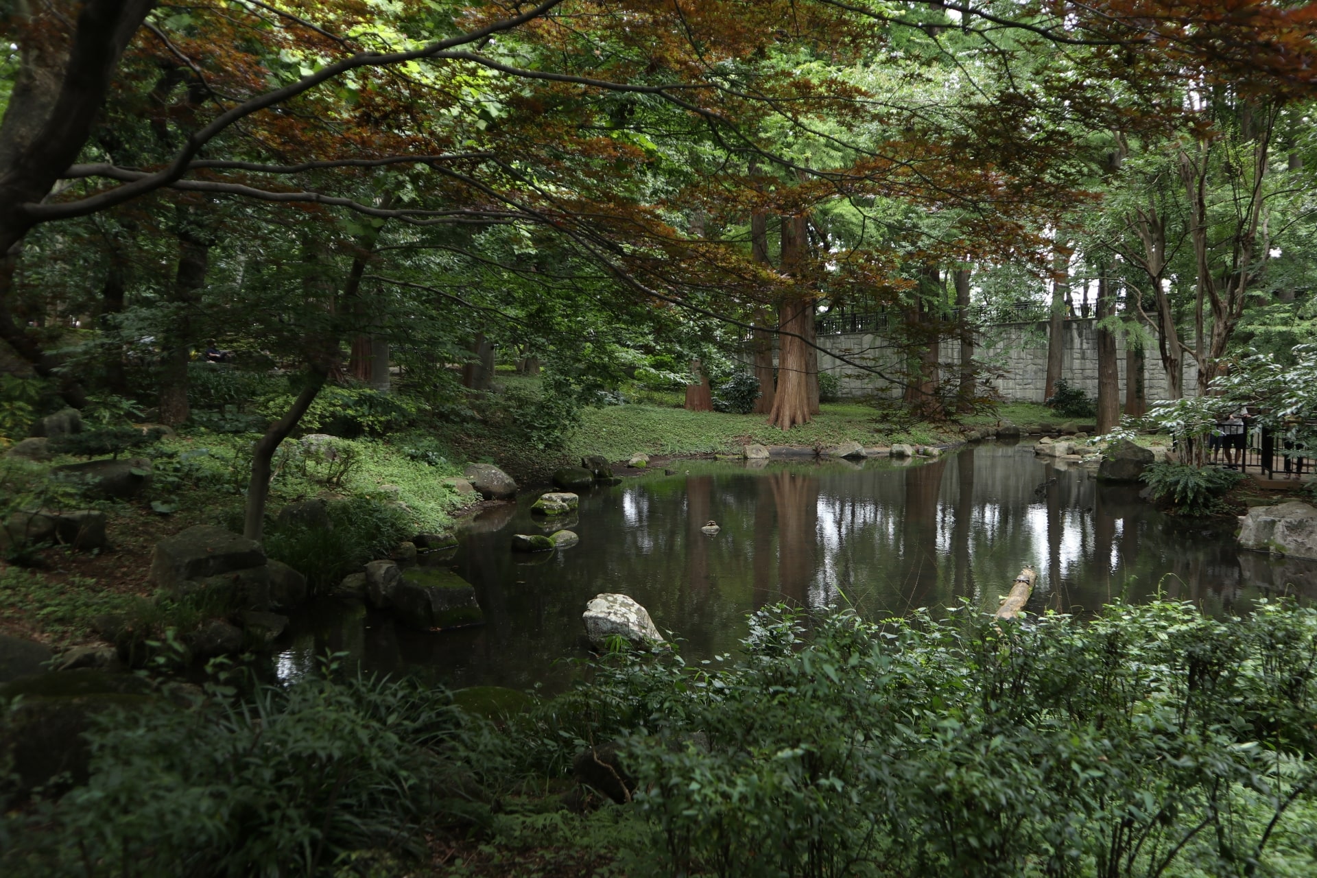 Rinshinomori Park