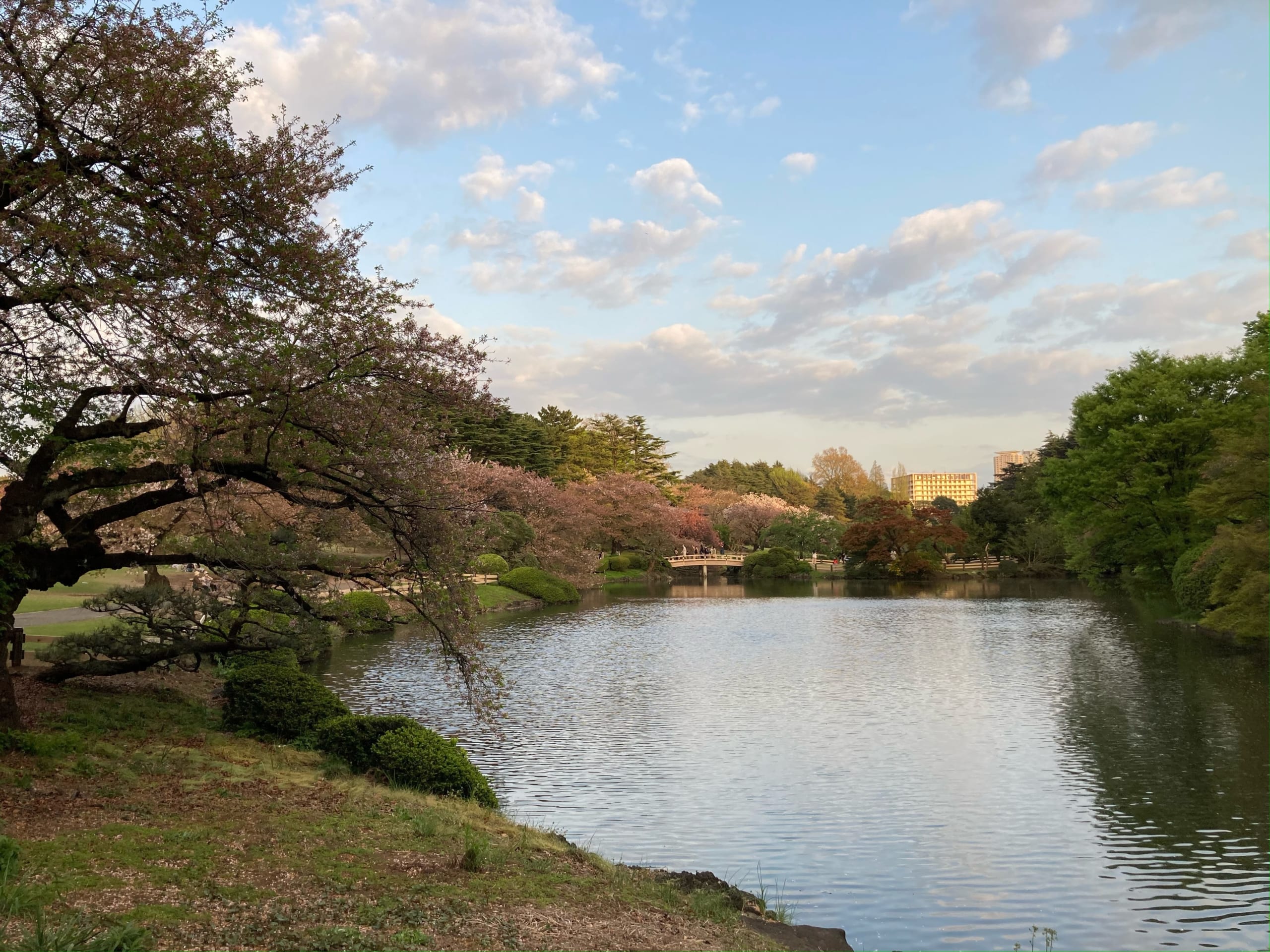 Shinjuku Gyoen