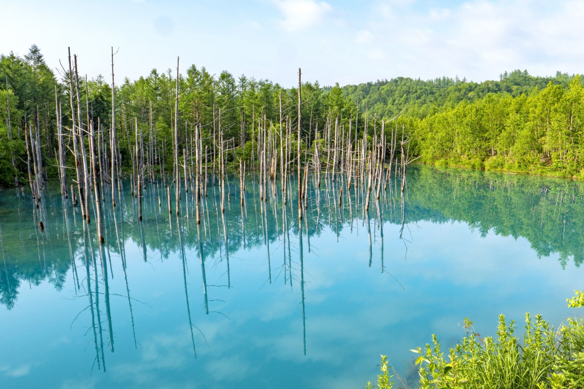 Shirogane blue pond