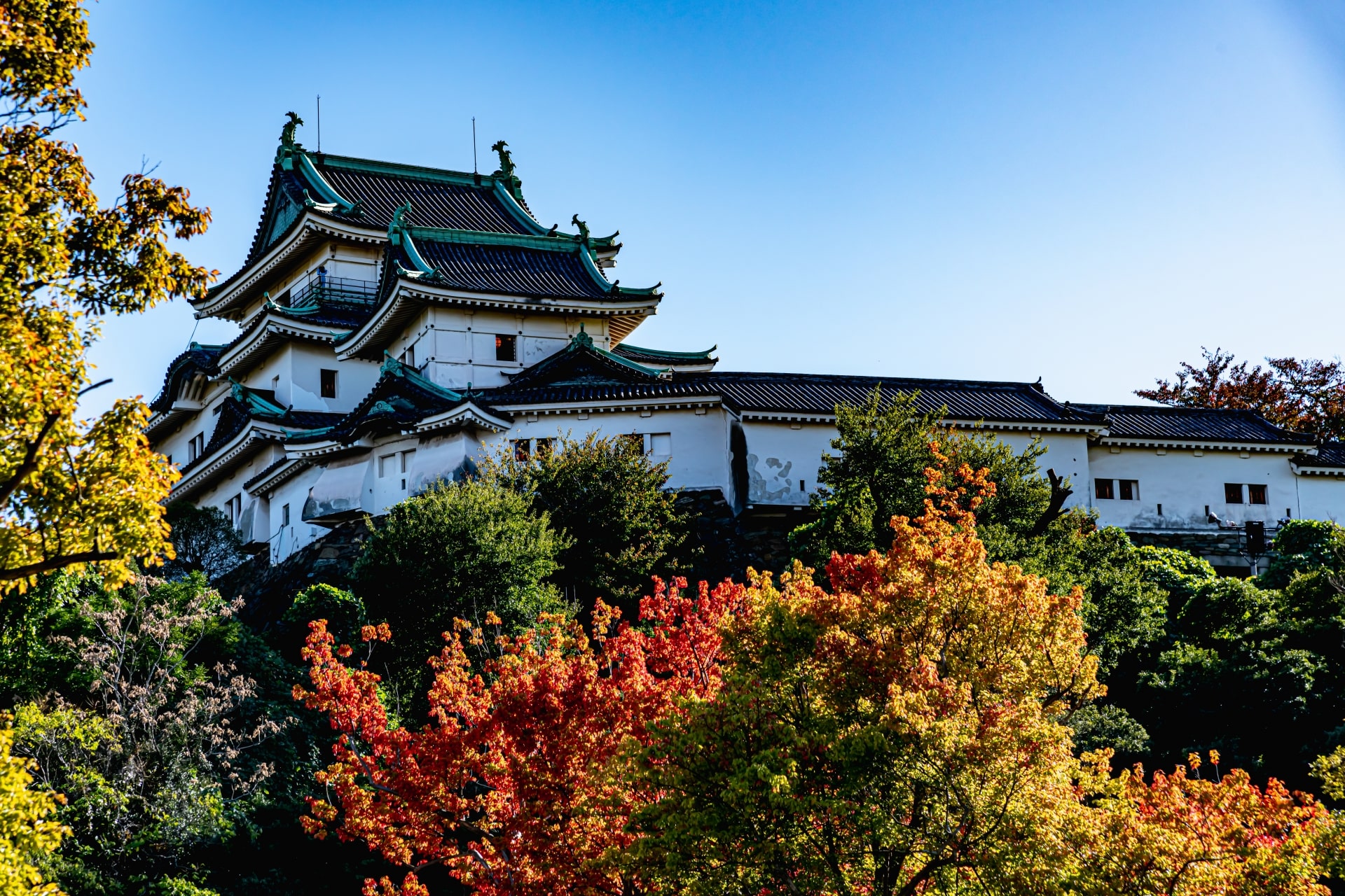 Wakayama Castle