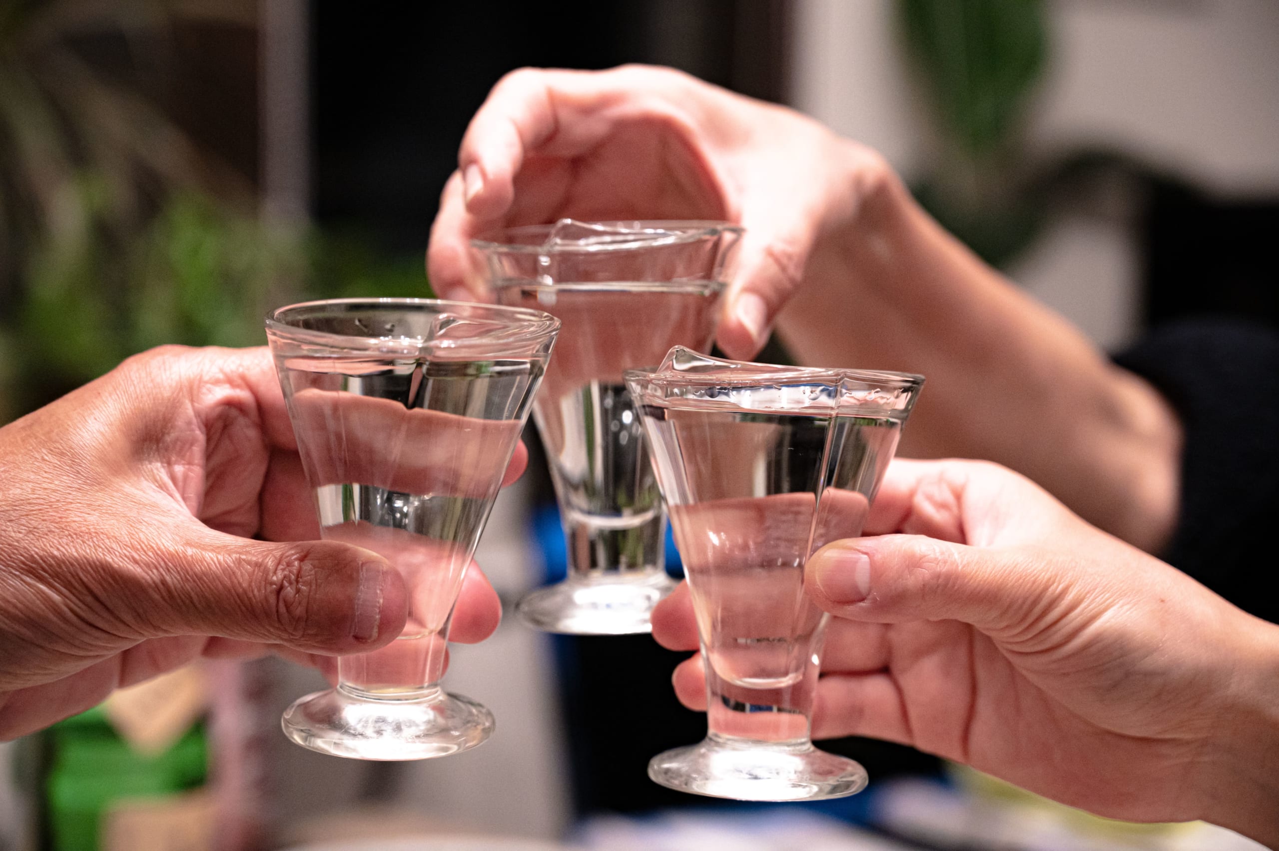 cheers with sake