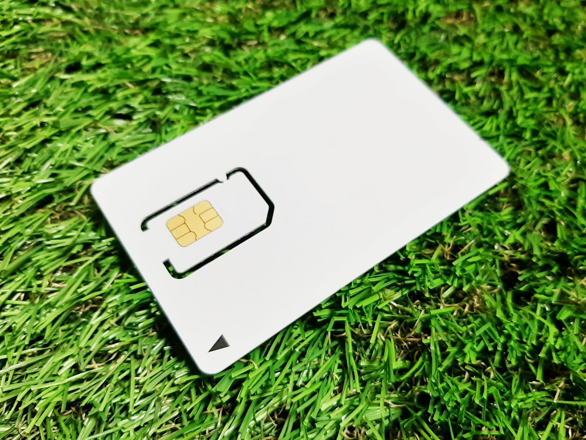 SIM card on grass