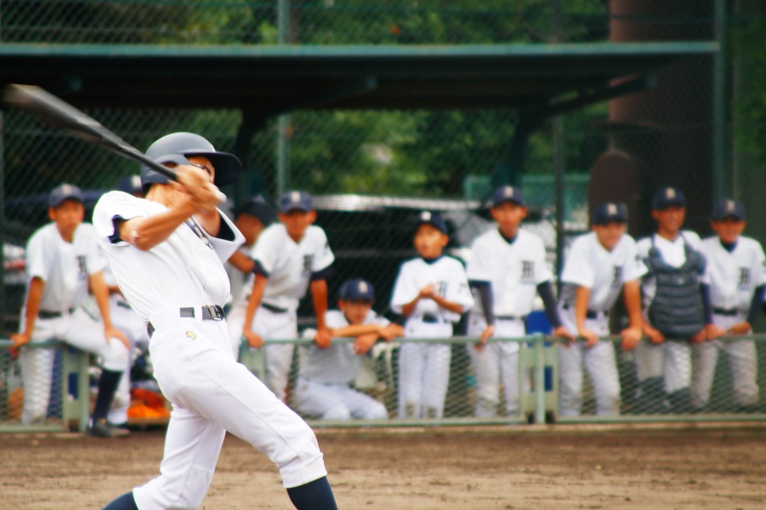 10 Similarities between Japan and America Japan  Magazine