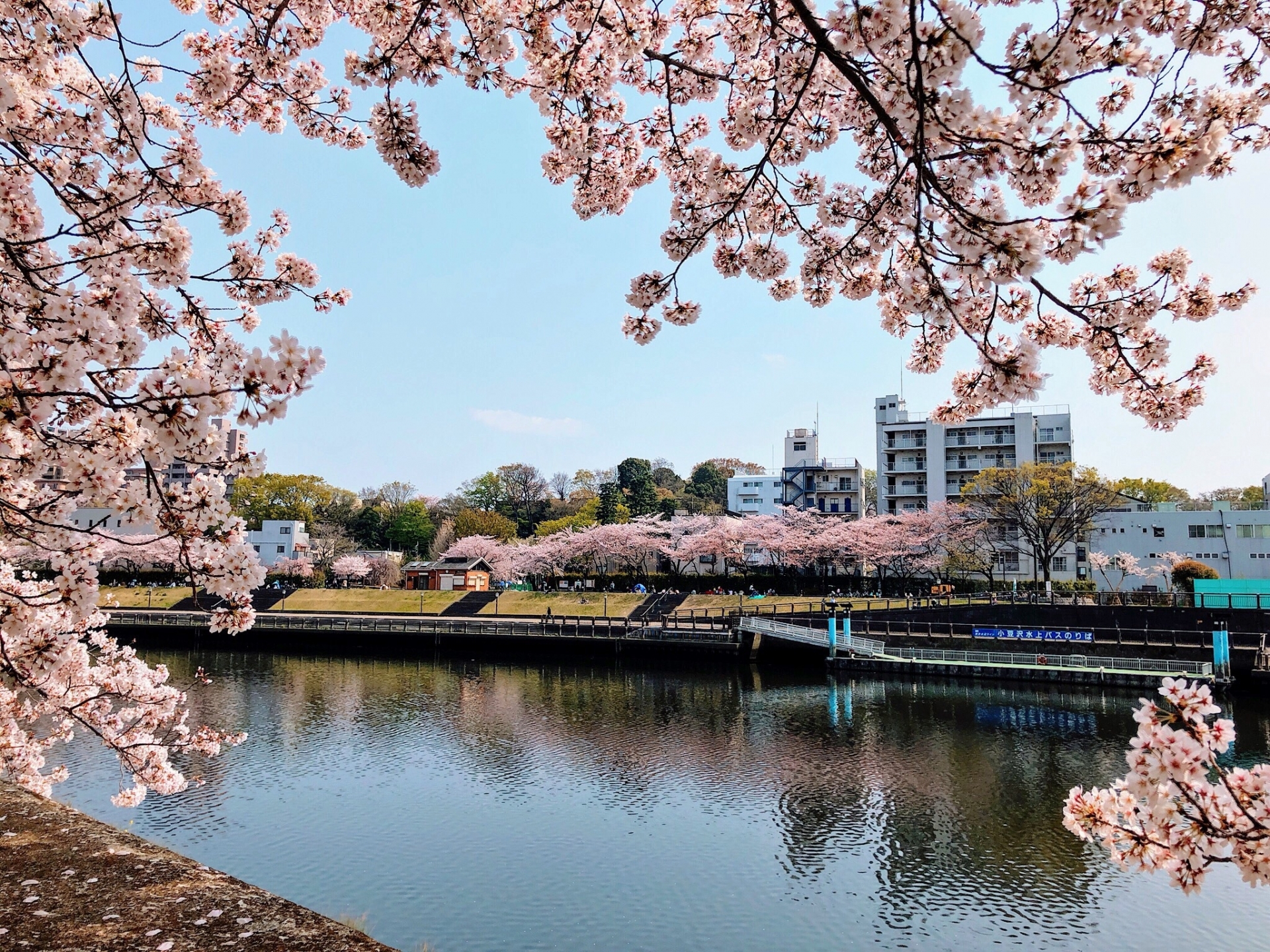 Moving in Japan