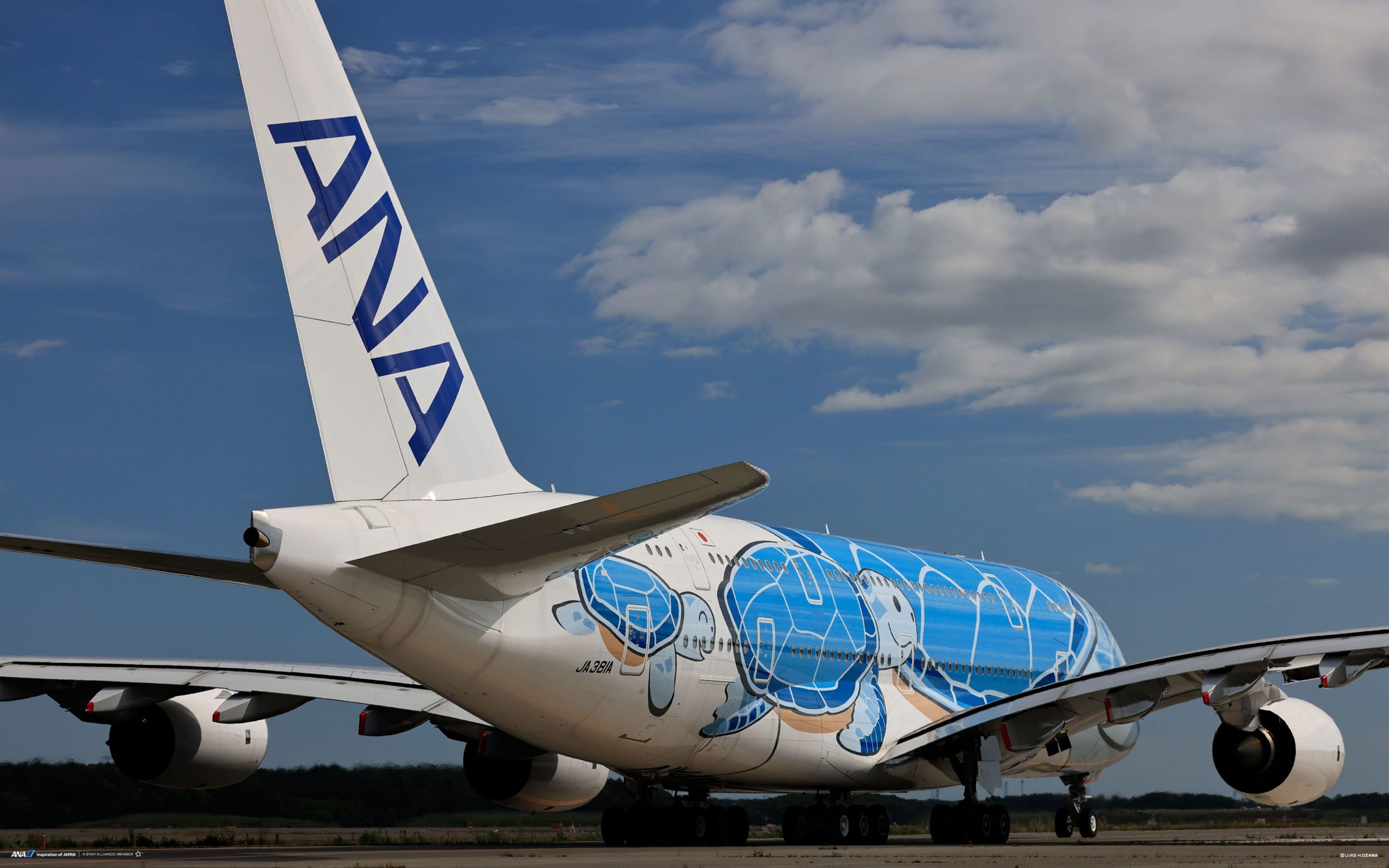 ANA Airlines