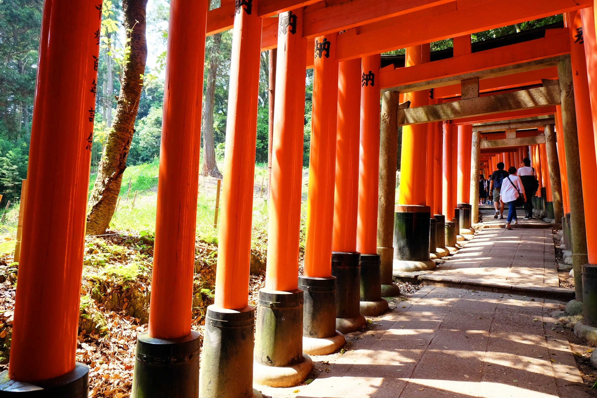 Fushimi Inari Shrine