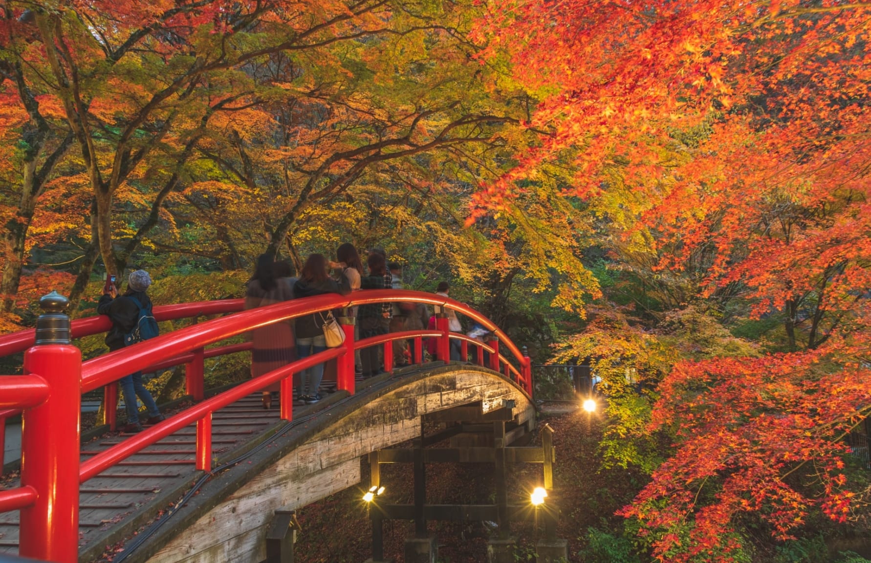 Kajika Bridge with autumn leaves