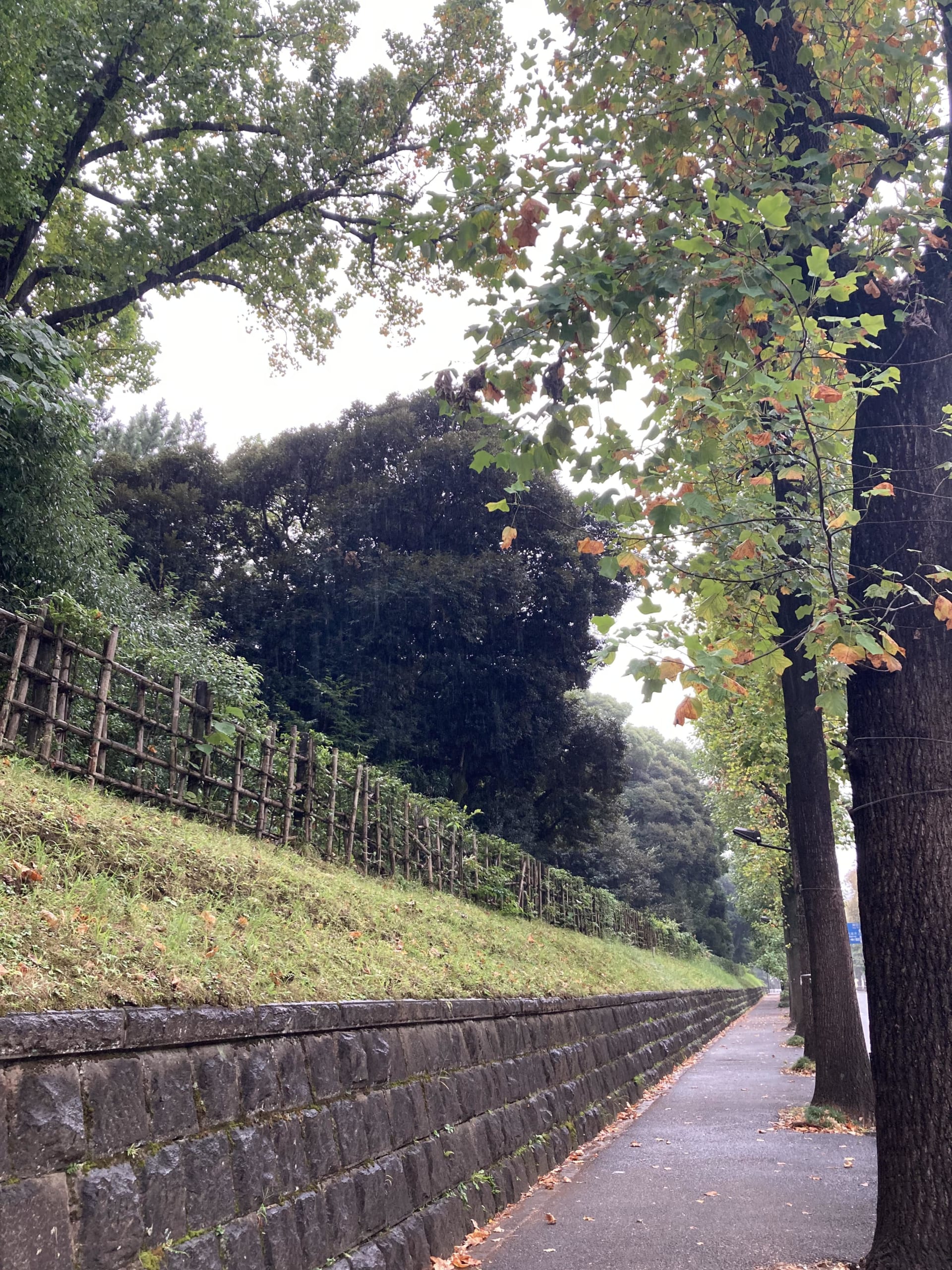 Akasaka Palace path