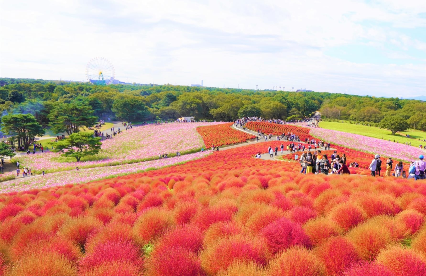 ibaraki day trip