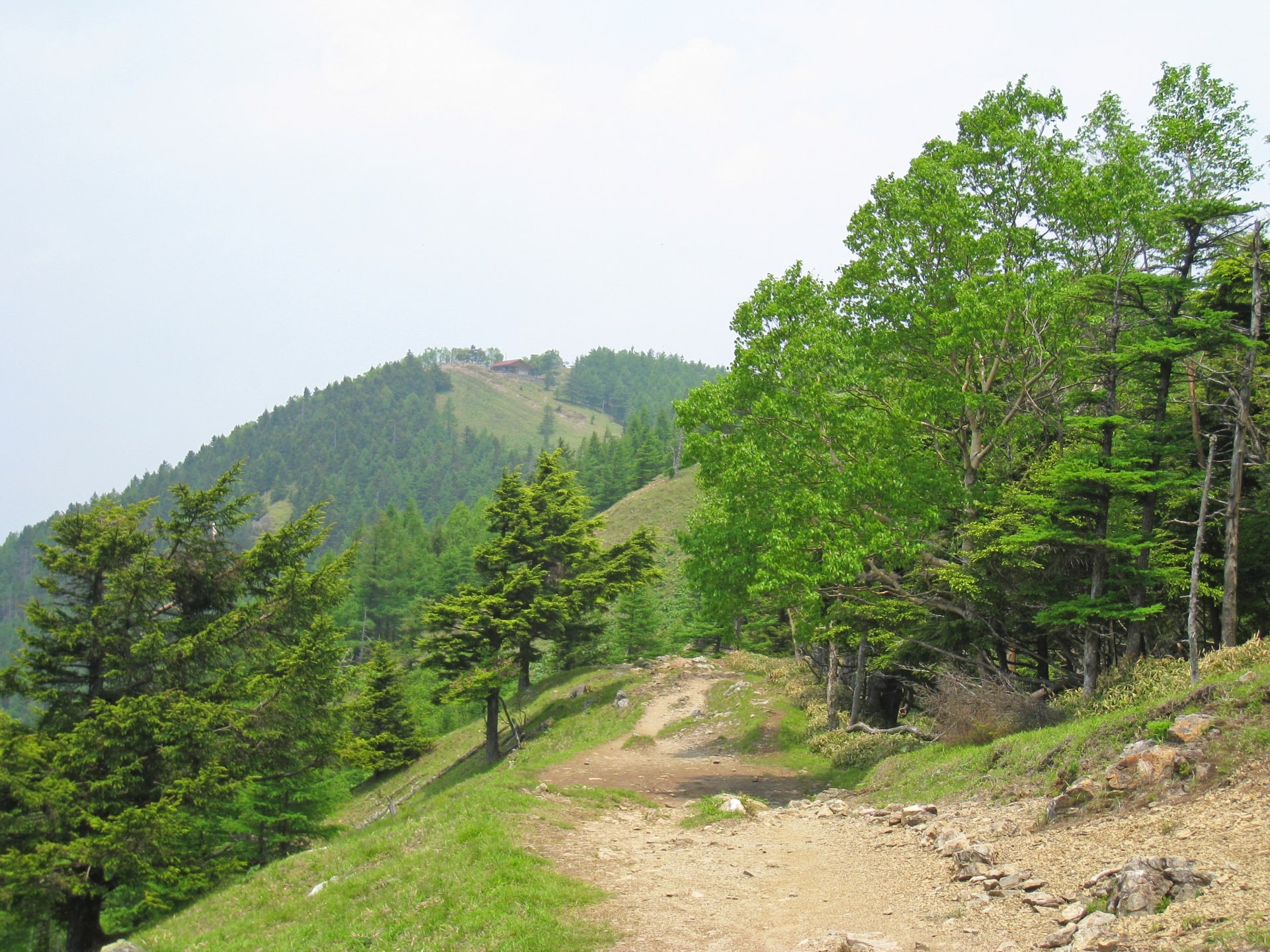 Kumotori Trail
