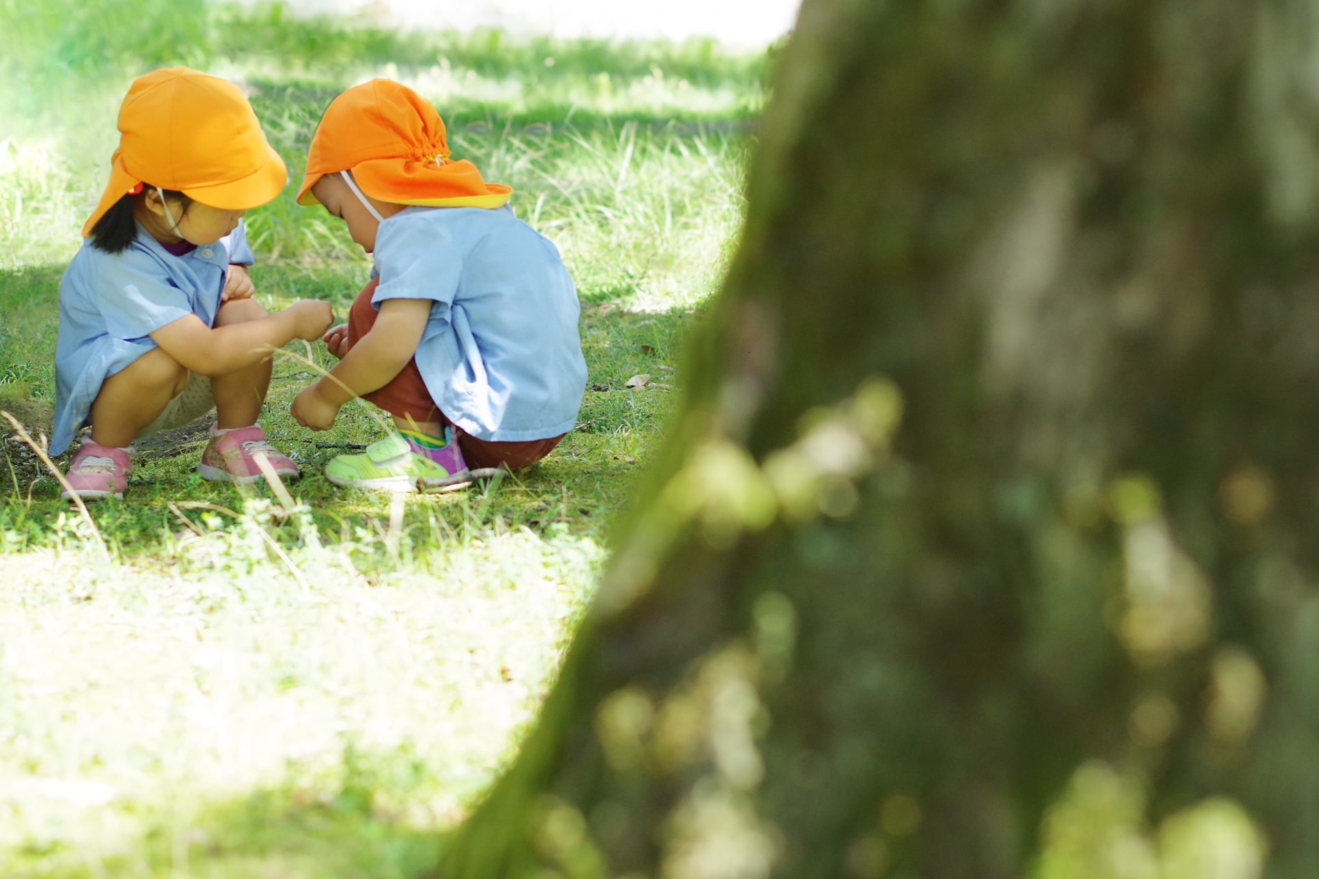 Learning about Nature in Hoikuen