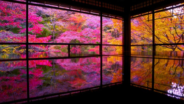 10 Best Events in Japan in November 2024