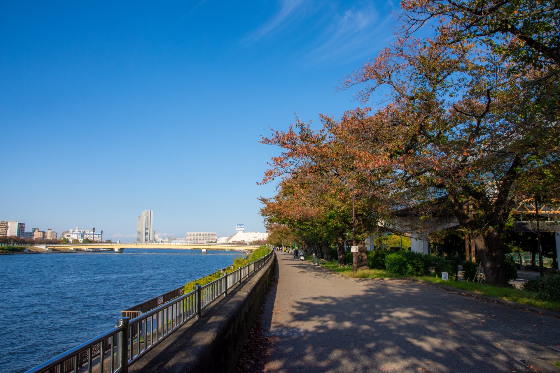 Sumida River Trail