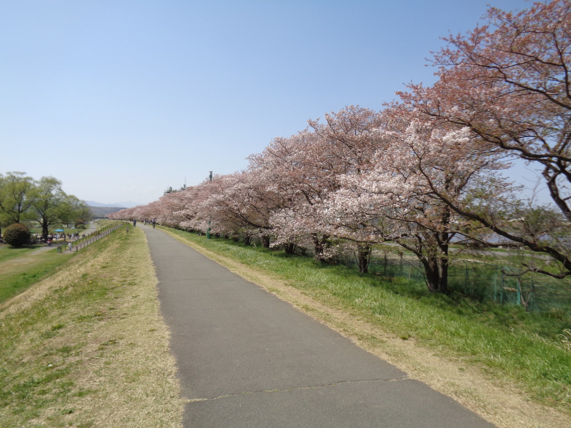 Tama River Trail