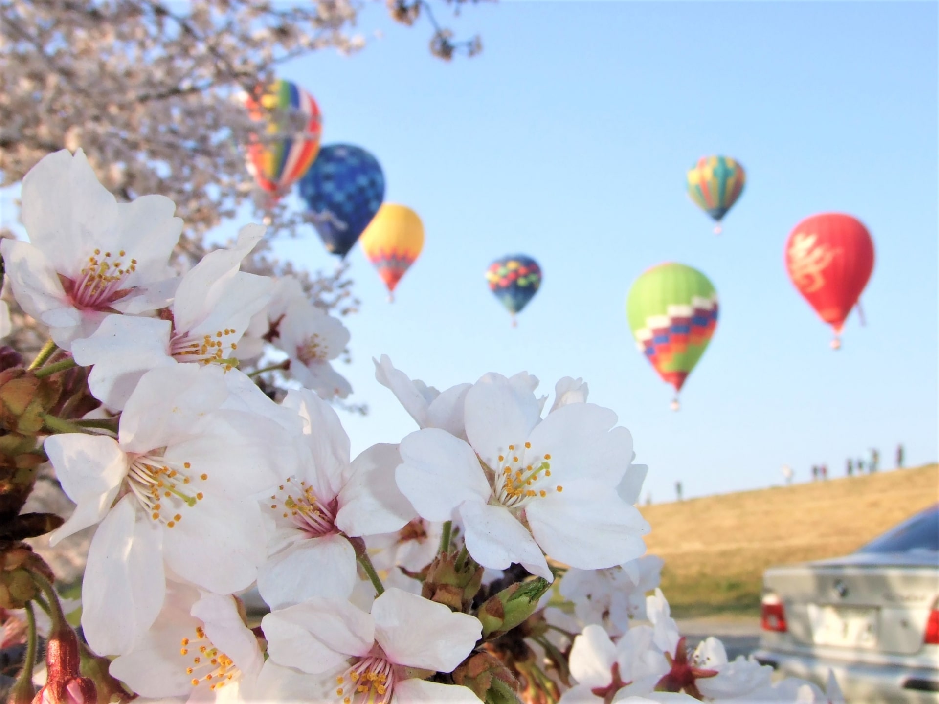 Hot Air Balloons at Watarase