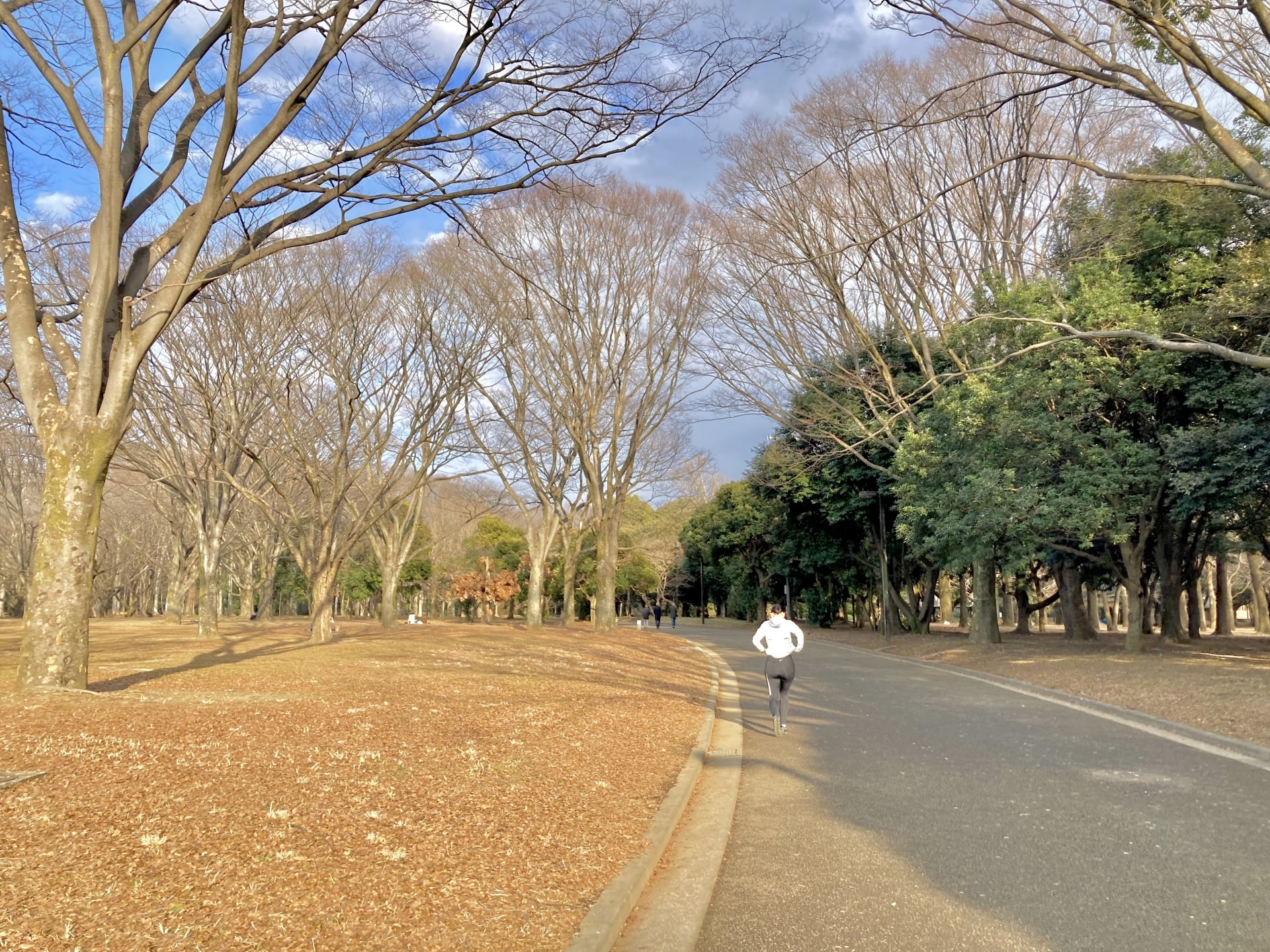 Yoyogi Koen