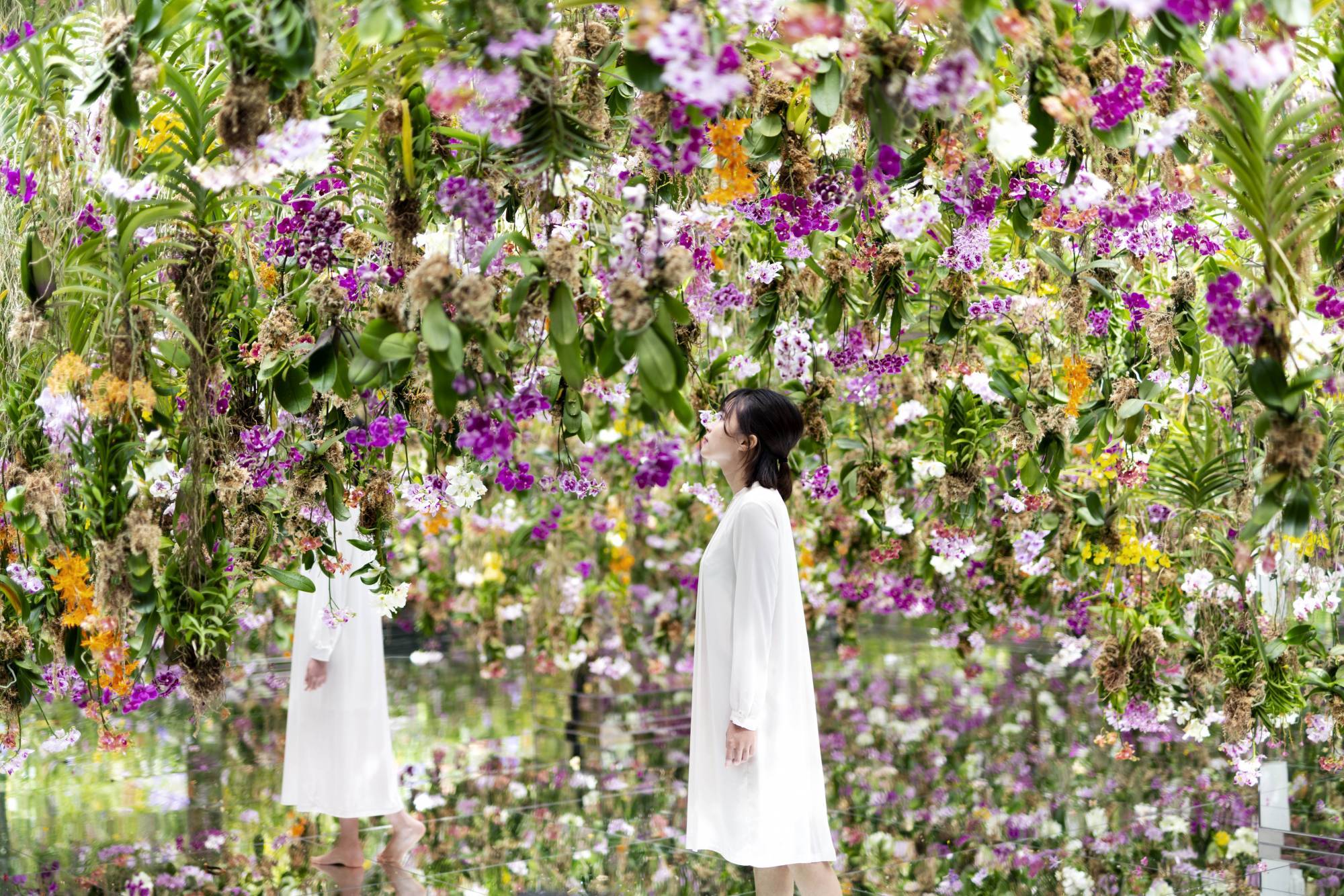 TeamLab Planets Tokyo in Toyosu - Japan Web Magazine