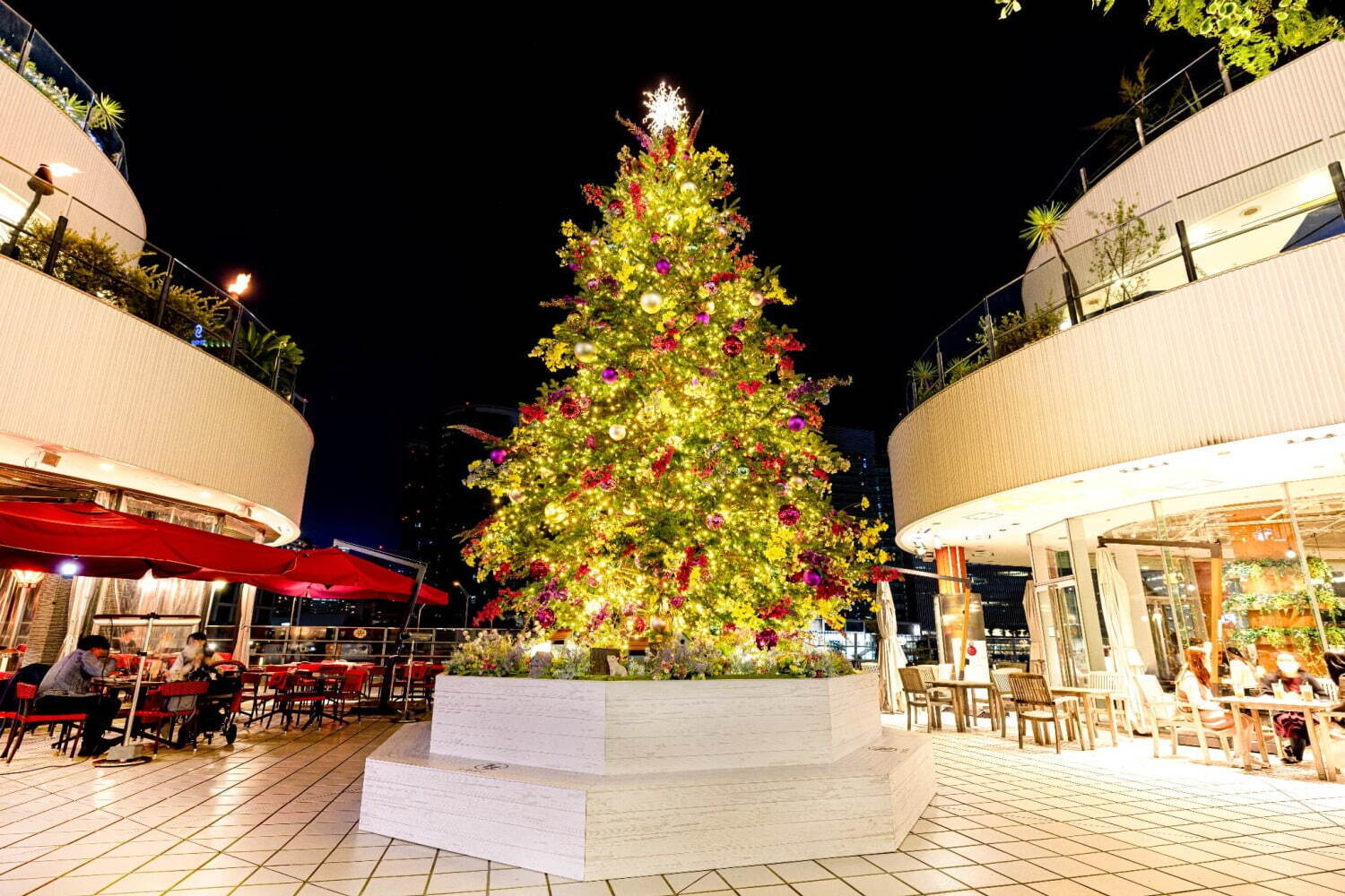 Yokohama Christmas Forest Illumination 2022 Winter