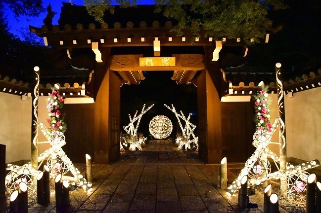 Hana Biyori Winter Illumination