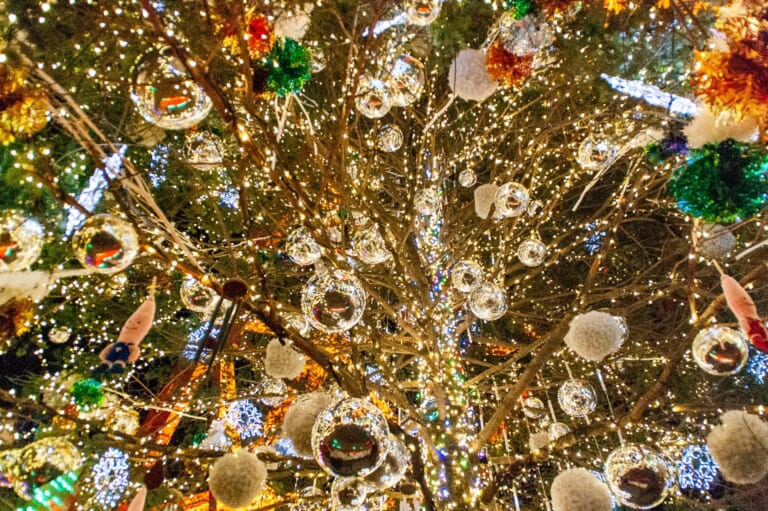 10 Best Events in Japan in December 2024