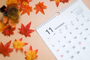 10 Best Events in Tokyo in November