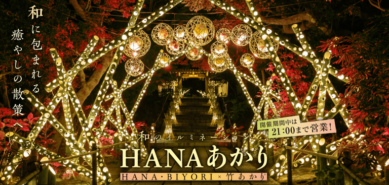 Hana Biyori Winter Illumination 2024