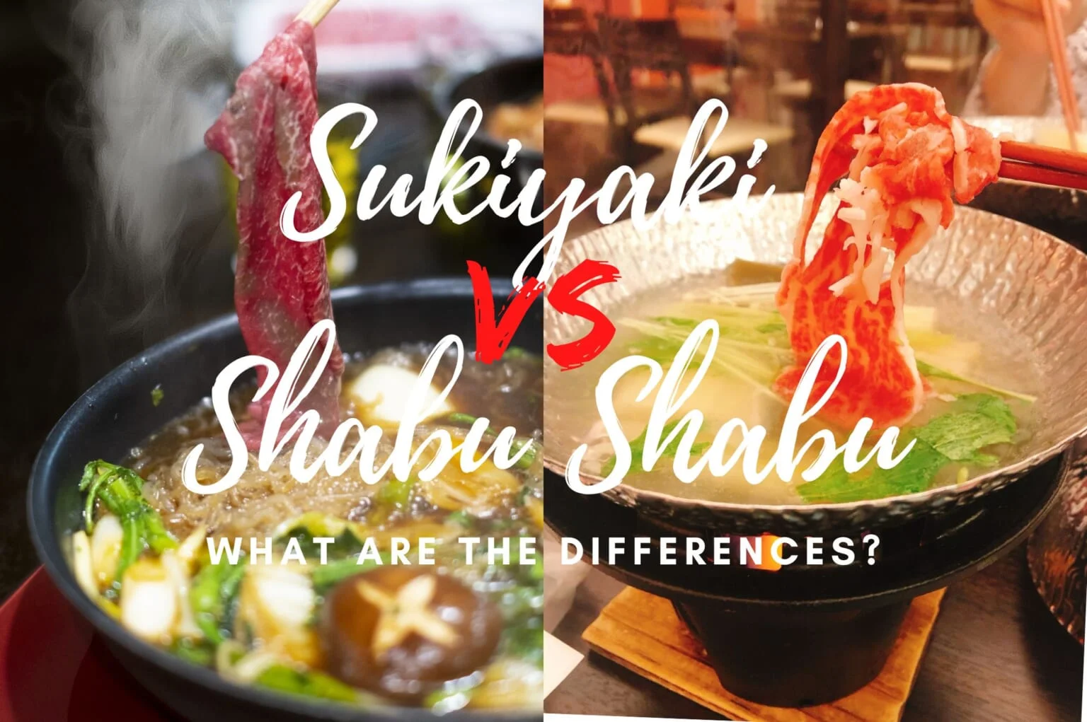 Sukiyaki vs Shabu Shabu What is the Difference Japan Web Magazine Sukiyaki vs Shabu Shabu What is the Difference Japan Web Magazine