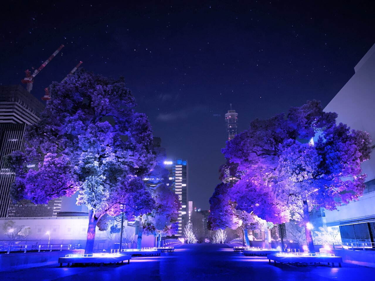 Yokohama Milight