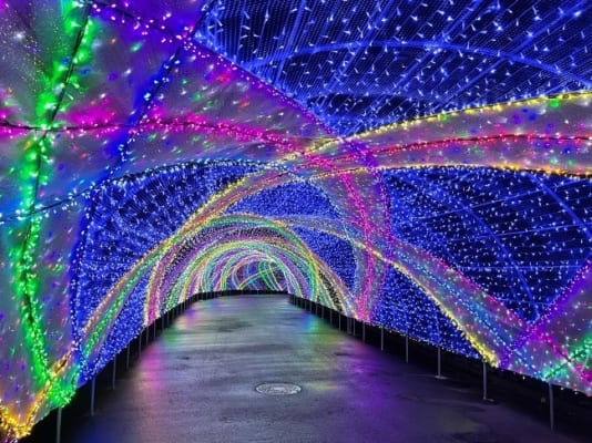 Yomiuriland Jewel Ilumination