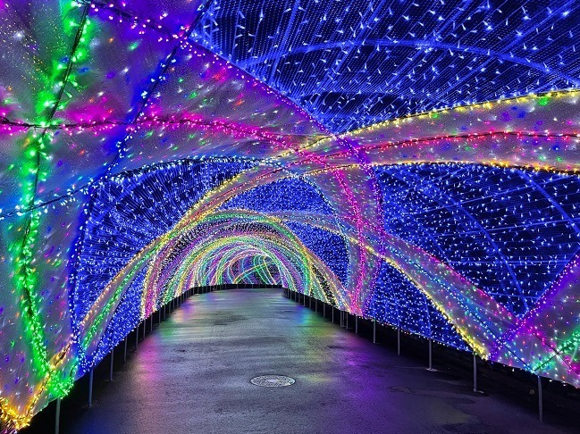 Yomiuriland Jewellumination 2022-2023 - Japan Web Magazine