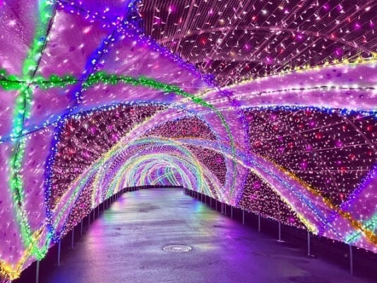 Yomiuriland Jewellumination 2023-2024 - Japan Web Magazine