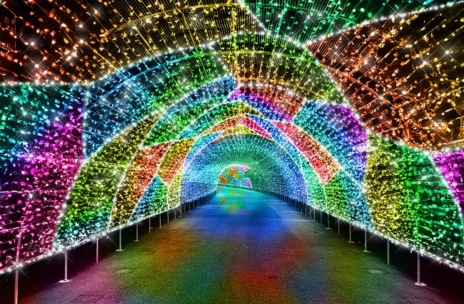 Yomiuriland Jewellumination 2024-2025