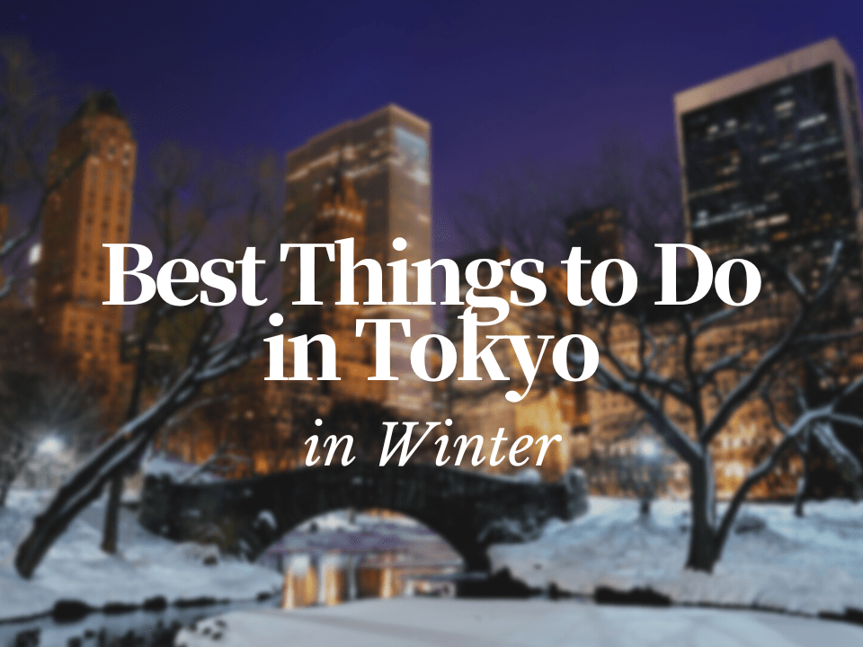 places to visit in tokyo in winter