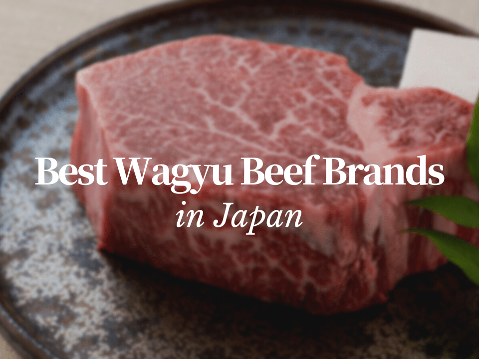 10 Best Wagyu Beef Brands in Japan