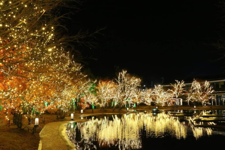 Sendai Matsushima Harbor Light Illumination 2022-2023