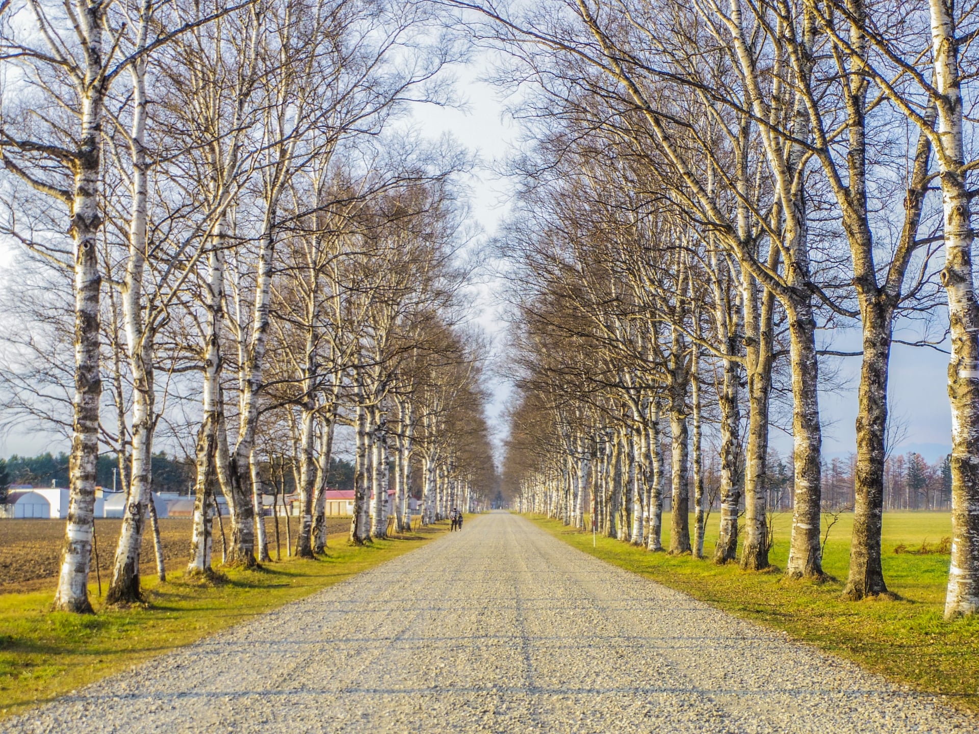 Tokachi farm