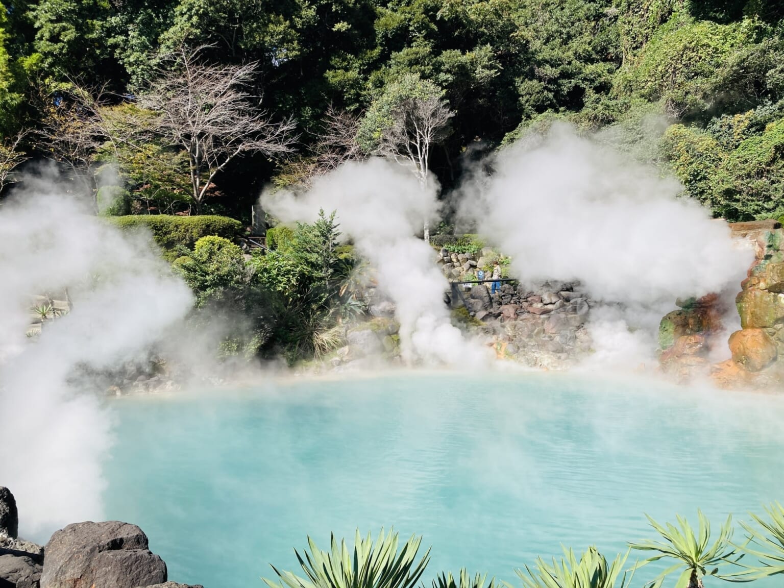 10 Best Things to Do in Beppu - Japan Web Magazine