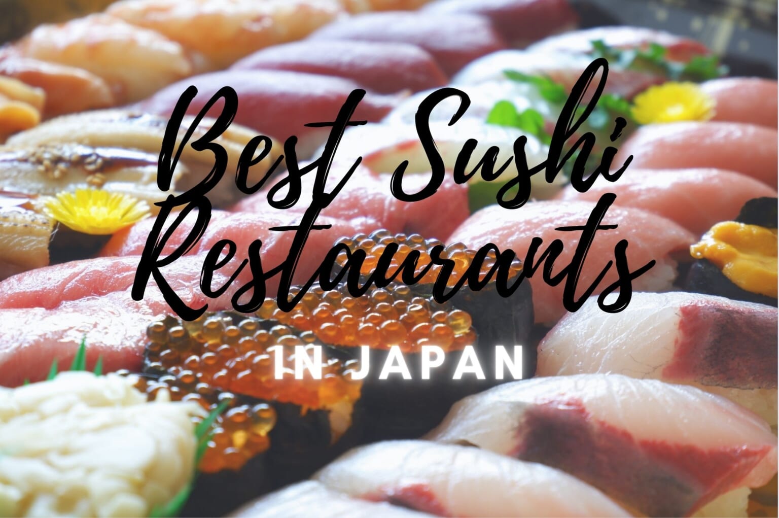 11 Best Sushi Restaurants In Japan Japan Web Magazine